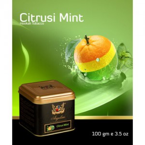 Кальянный табак Argelini Citrus Mint 100гр.